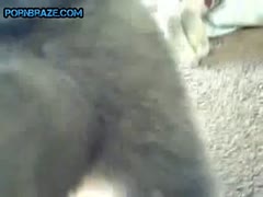 Beautifull Shaved Pussy Hard Sex Dog - Animal Porn