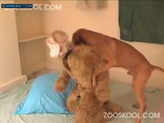 Zooksool Sex - summer in summer madness by zooskool - Animal Porn Free - Zoofilia Porn,  animal porn tube site