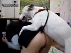 Dog Fucking - Cruel Dog Fuck Girl