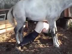 Curvy slut likes nasty horse bestiality