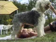Hairy doggy fucking woman from behind