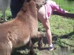 Unimaginable Request: Husband Asks Wife to Let a Donkey Have Unconsented Sex with Her - And She Agrees!