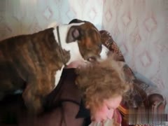 Watch as a Trained Dog Rams and Fucks a Hairy Pussy in an Unbelievably Hot Zoo Porn Scene!