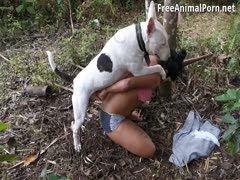 Animal Lovers Rejoice! Watch the Wildest Anal Dog Porn & Get Slut Fucked in the Ass by a Big Knotted Dog!