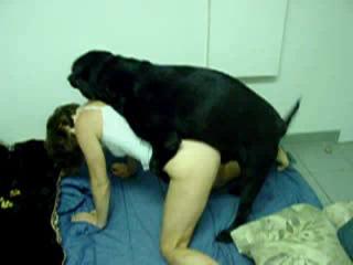 Dog sex free sex video high quality compilation porno canin with girls in levrette